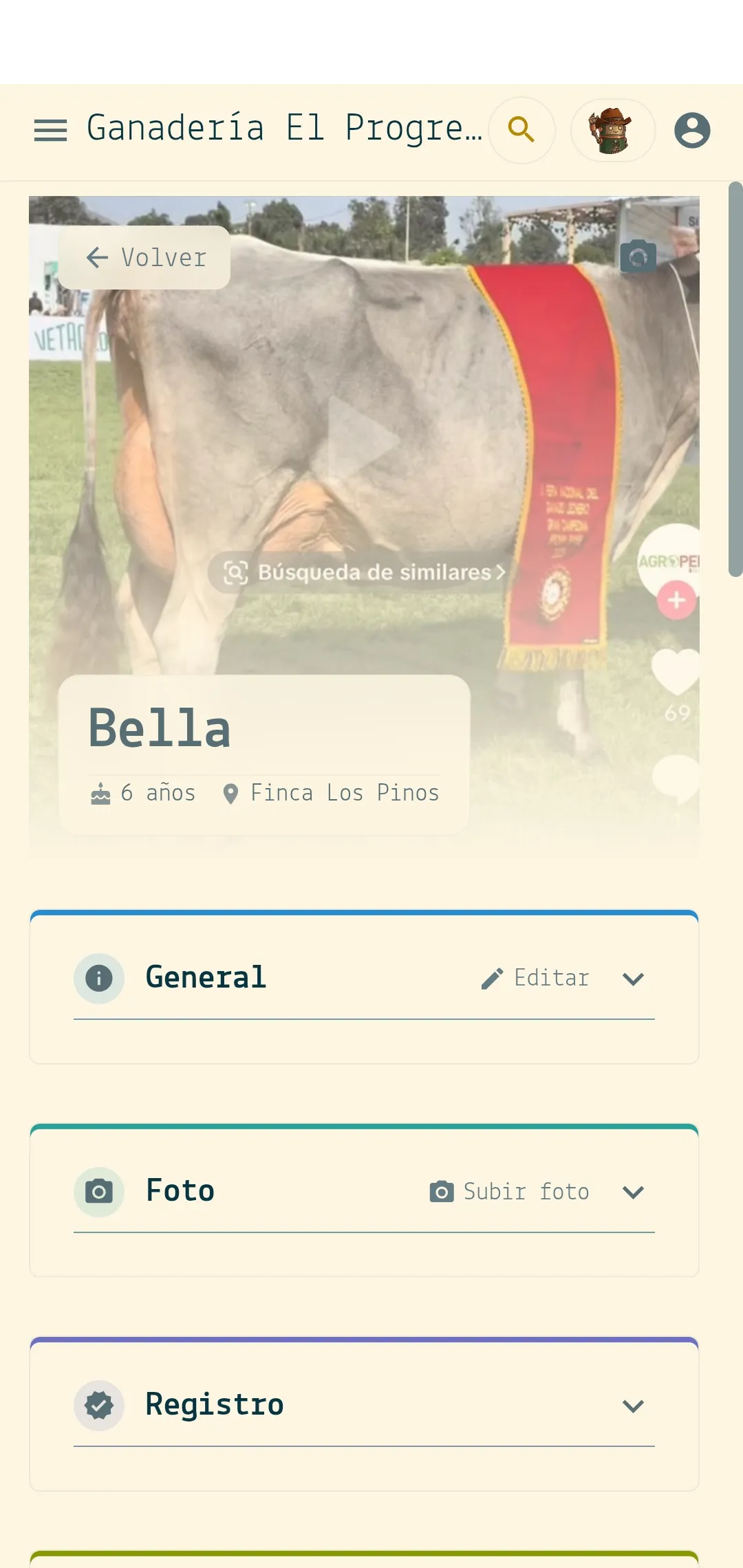 Ficha de la vaca Bella con su foto